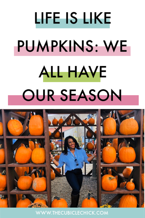 As working mamas who juggle a lot, we all have our highs and lows. Life is like pumpkins in that way---we have our season. What will you do with yours?