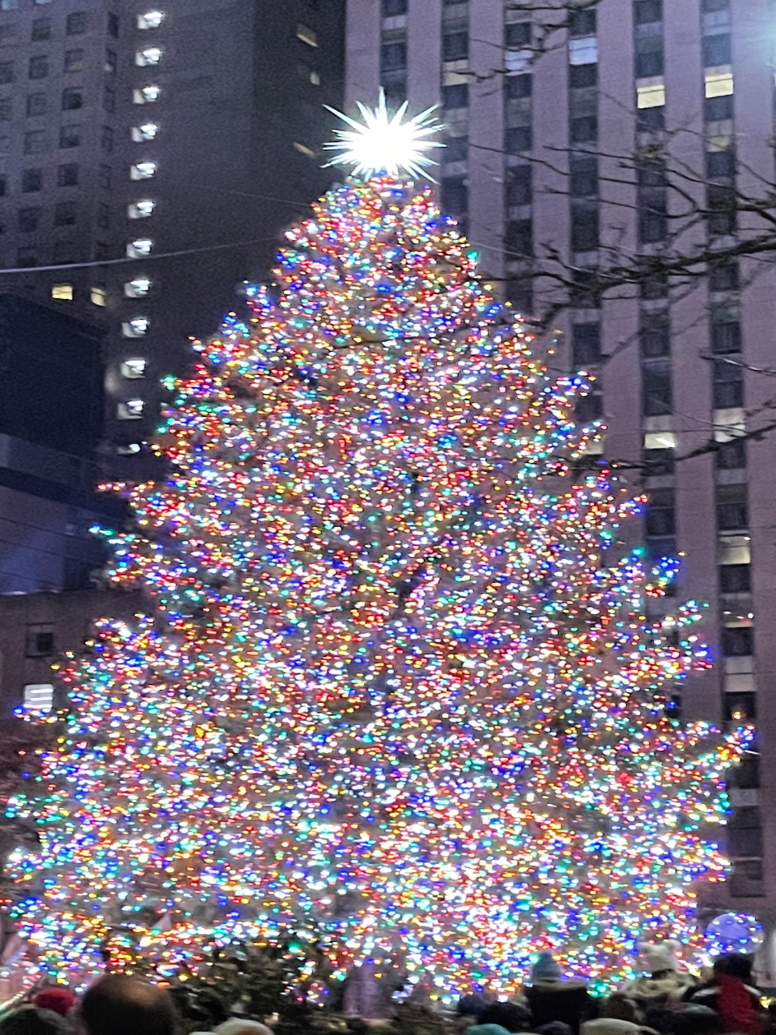 Photos: The Rockefeller Center Christmas tree's journey to the big city