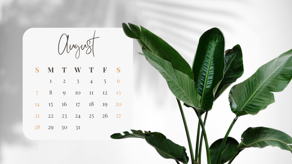Free Downloadable August 2022 Calendar  KnitPicks Staff Knitting Blog